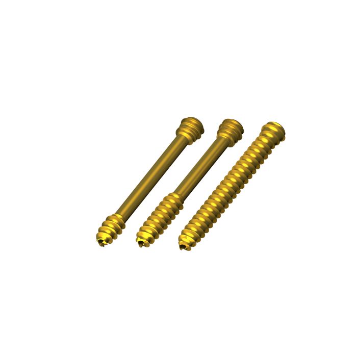 Scaphoid cannulated compression screw