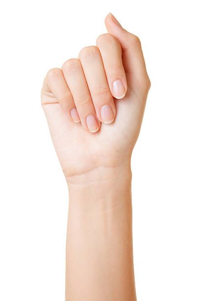 Hand and wrist